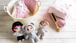 【完全版】ぬいぐるみの洗い方～簡単！ぬい活で役立つ推しぬいのケア方法 