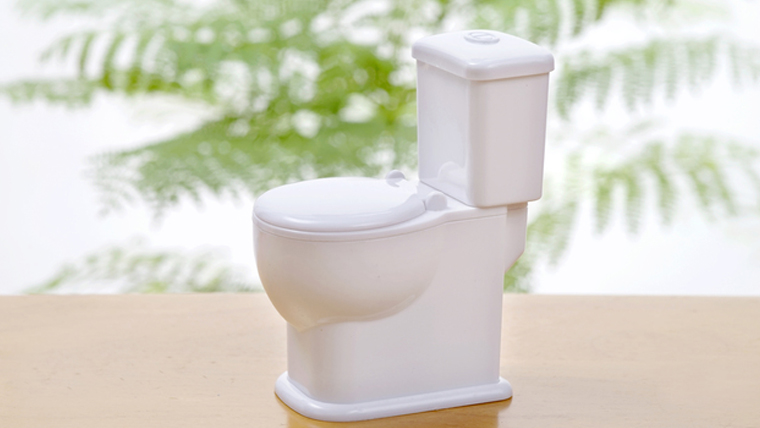 「トイレ掃除」汚れもニオイもスッキリ!場所別掃除のコツ決定版!