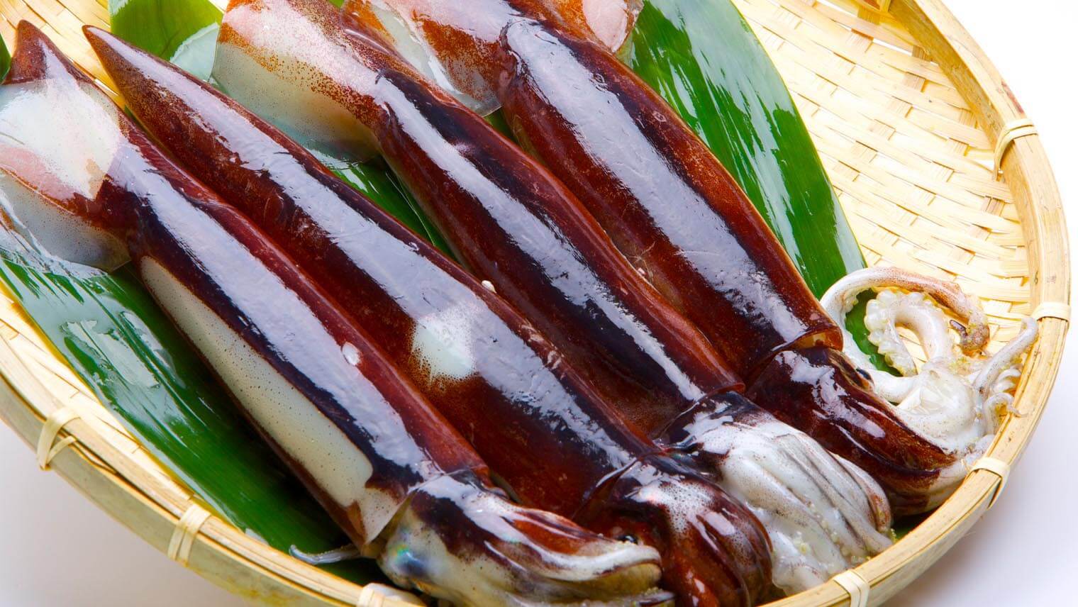 イカのさばき方（下ごしらえ・下処理）の基本＆冷蔵・冷凍保存テク