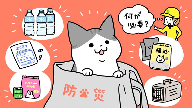 猫の防災グッズは何が必要？避難時に欠かせないグッズをチェック