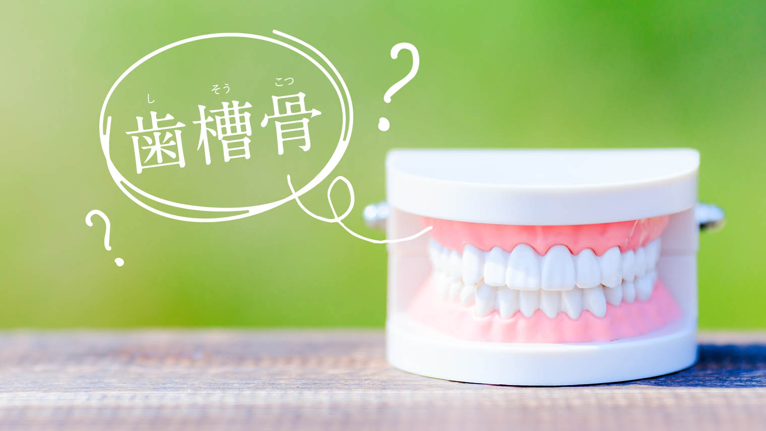 歯周病で歯ぐきが下がるのは「歯槽骨」が溶けるから?歯周病予防のためのセルフケア