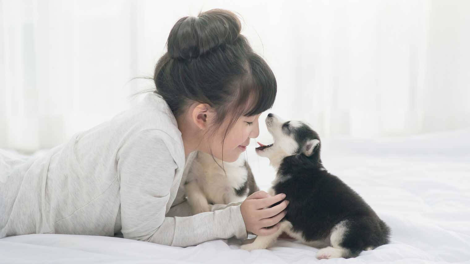 犬の口臭の原因は？歯みがきが苦手でもできる、口臭ケアのコツ