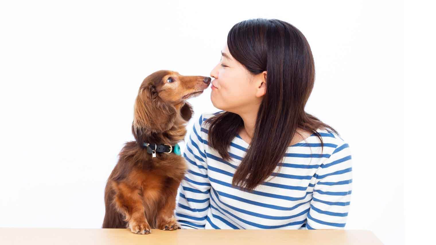 気になる犬の「お口の臭い」がさわやかに?今すぐできる簡単ケアに注目