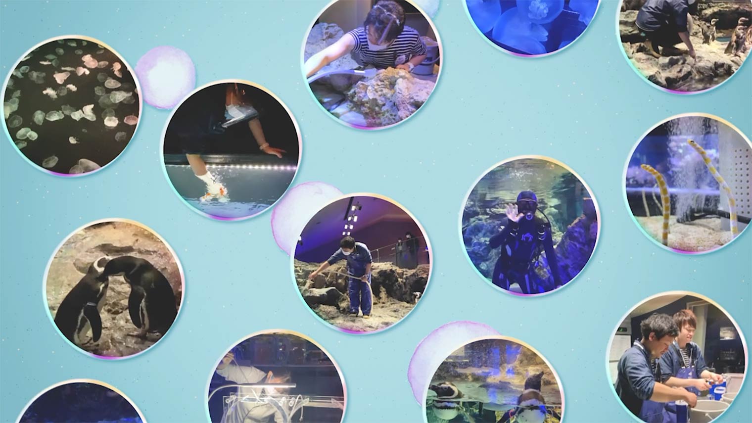 お客さま、いきもの、スタッフが「もっと近づける水族館」へ すみだ水族館の清潔衛生環境作り