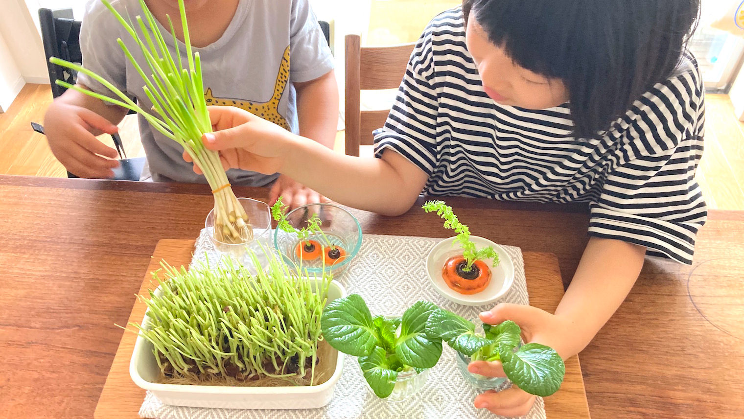  【自由研究ノート付き】子どもと一緒にリボベジに挑戦したら、食育につながった