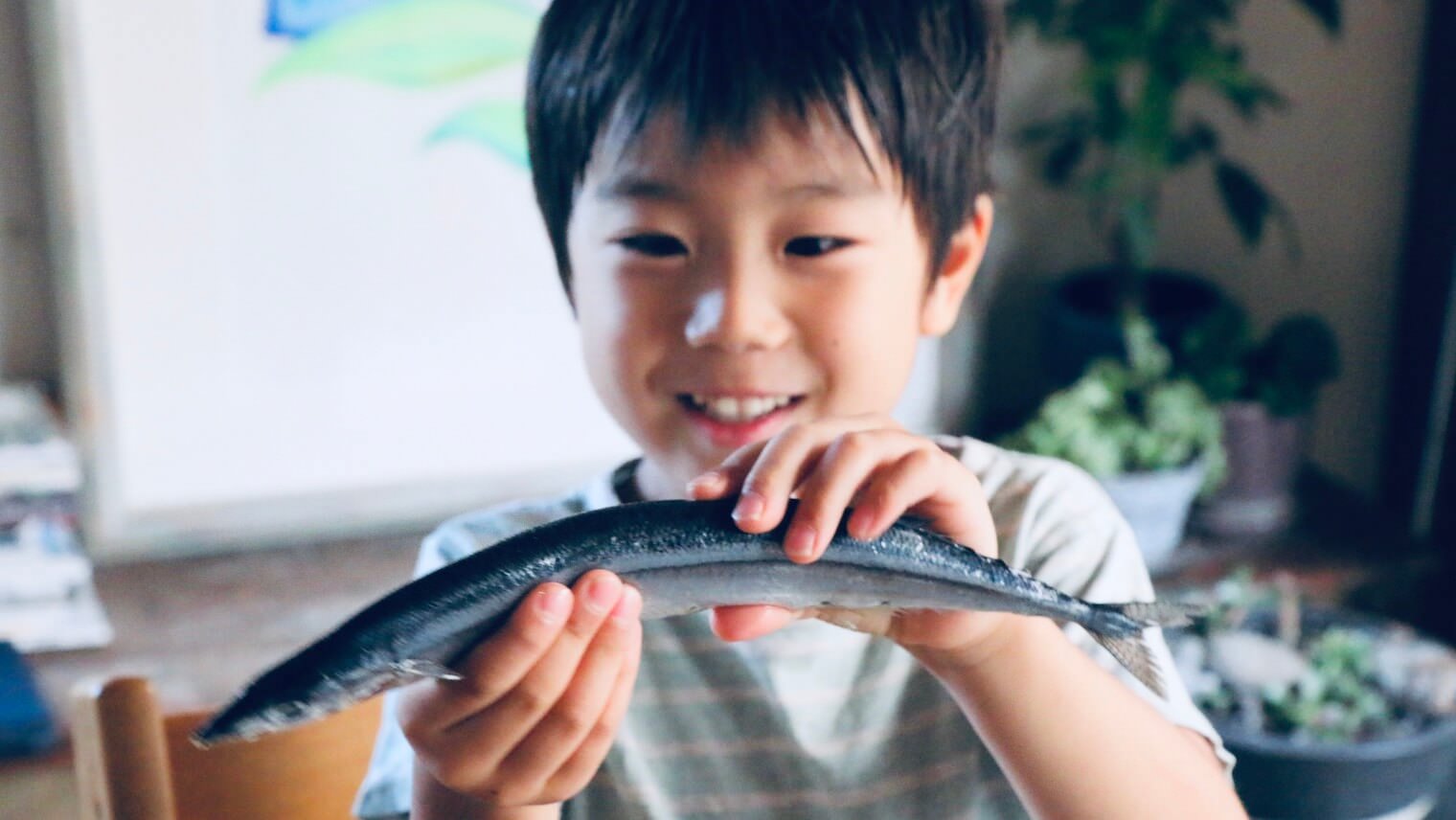 サンマで食育！生態やからだの構造を知ることで、子どもの食べ方が変わる？
