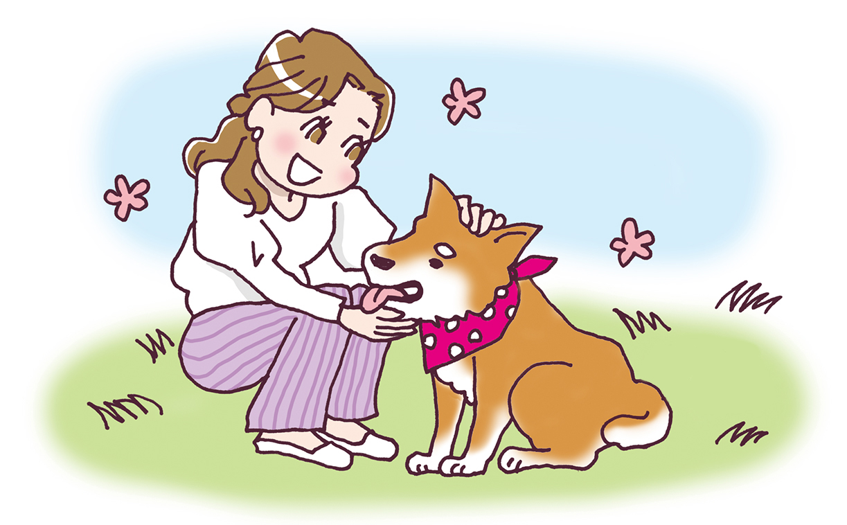 シニア犬(老犬)って何歳から?愛犬に幸せなシニア期を過ごさせてあげるために