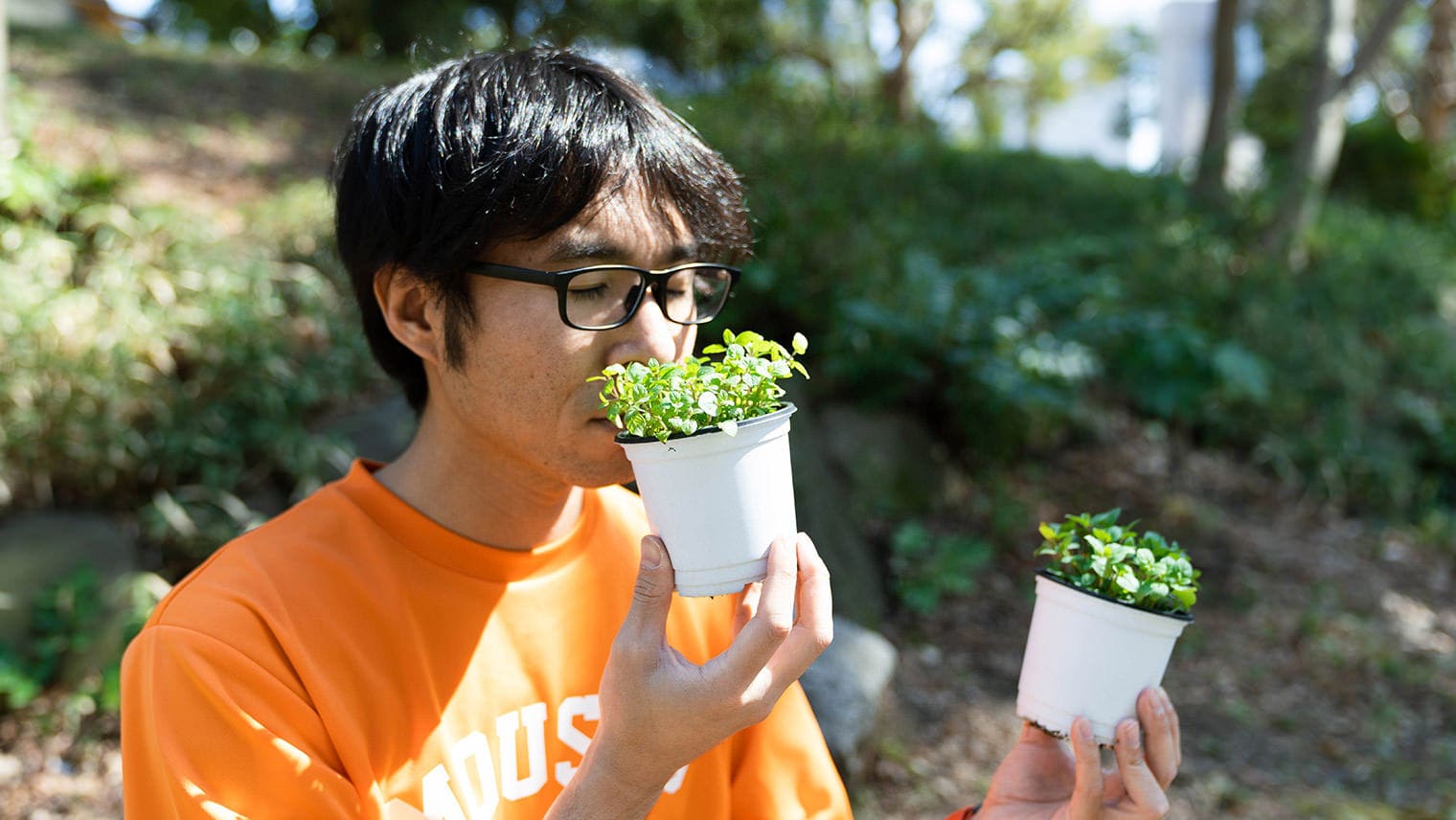 ミントにはたくさんの可能性が！リラックス効果を生む天然ミントのすごさ