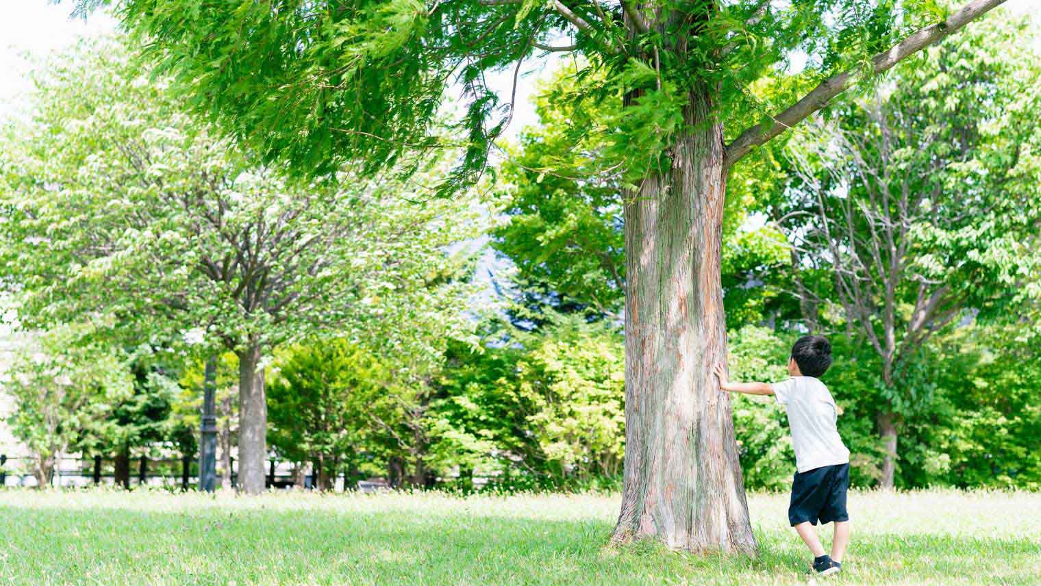  CO₂削減のためには家庭での工夫が不可欠！私たちにできることとは？