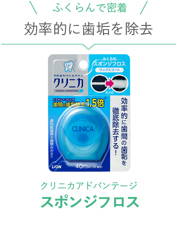 スポンジフロス