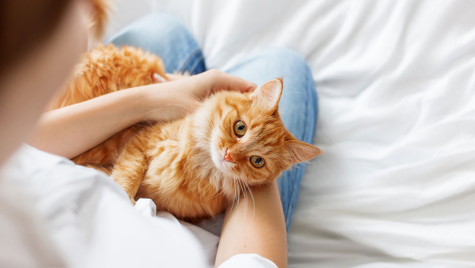 ペットの飼い主さん必見!衣類につく猫の毛・犬の毛対策