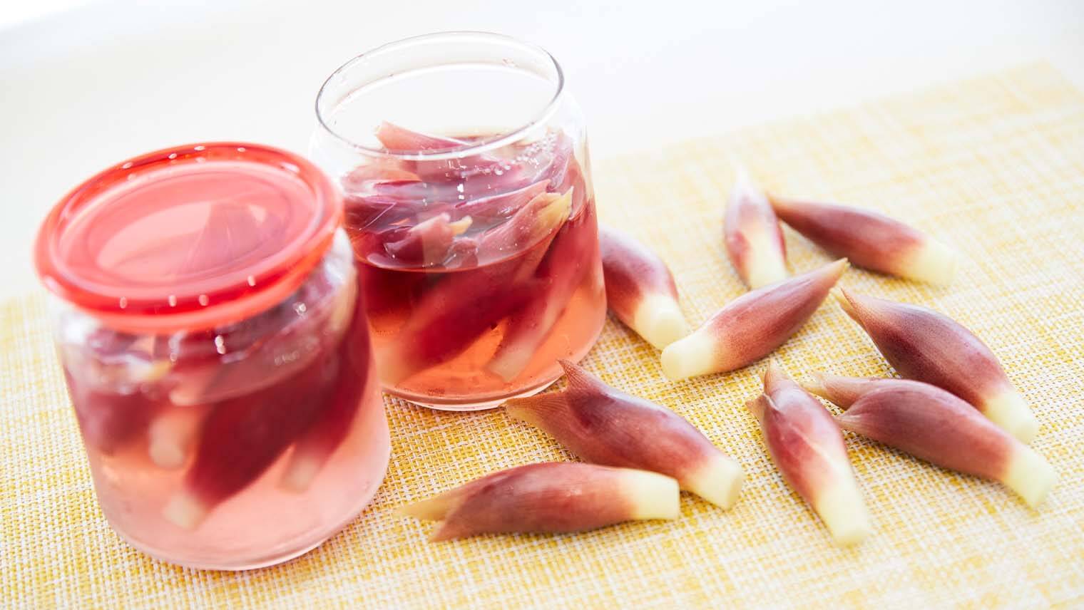 みょうがの冷蔵&冷凍保存方法！乾燥させないコツや甘酢漬けレシピ