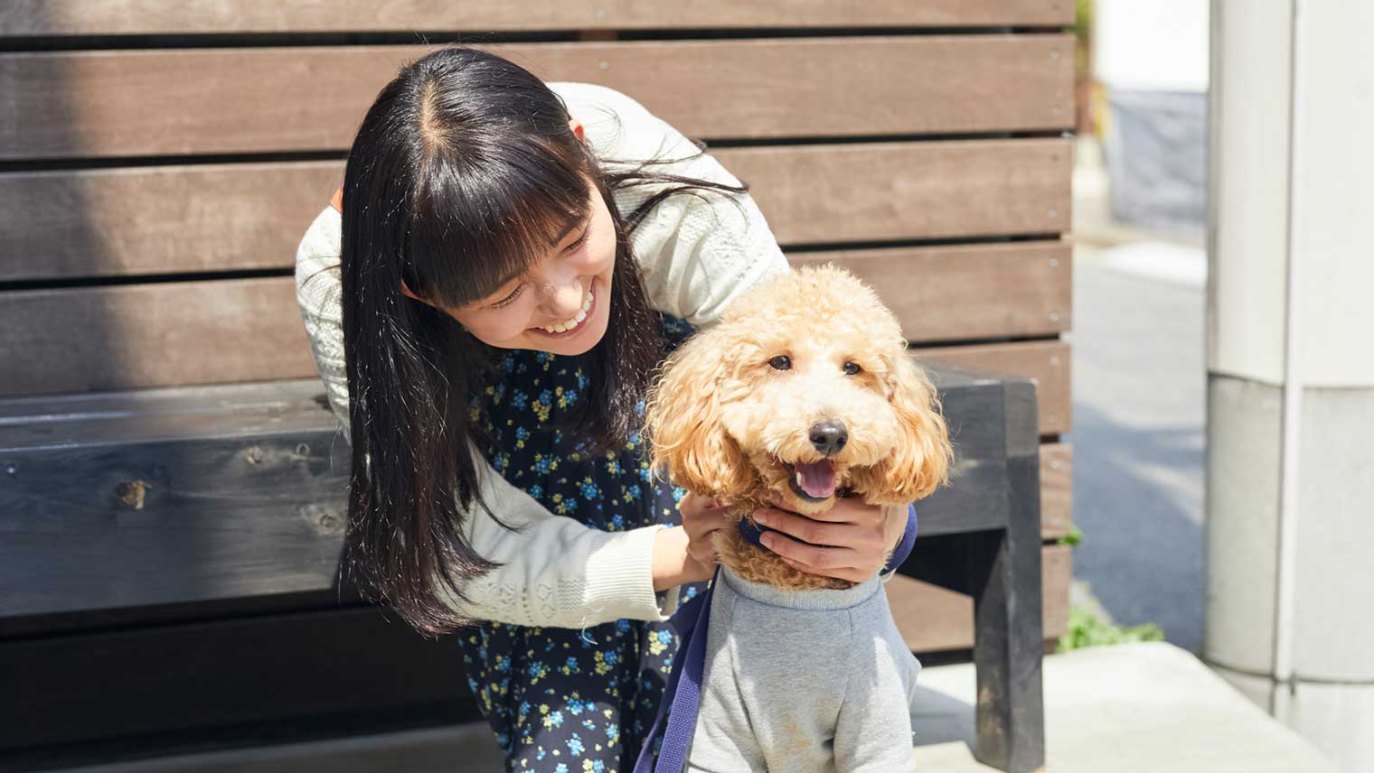 犬のお散歩の花粉対策〜散歩時間の調整や帰宅後の対策で、しっかり花粉ケア