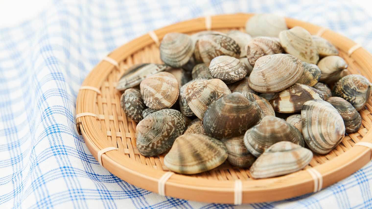 あさりの砂抜き＆冷蔵・冷凍保存テク〜必要な時間や、失敗しないためのコツ〜