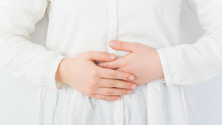 「胃」の構造と働き～各部位の名称と食べ物が胃で処理される仕組み～