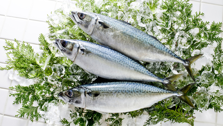 下ごしらえで魚のおいしさが変わる!選び方・おろし方・調理方法