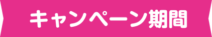 キャンペーン期間