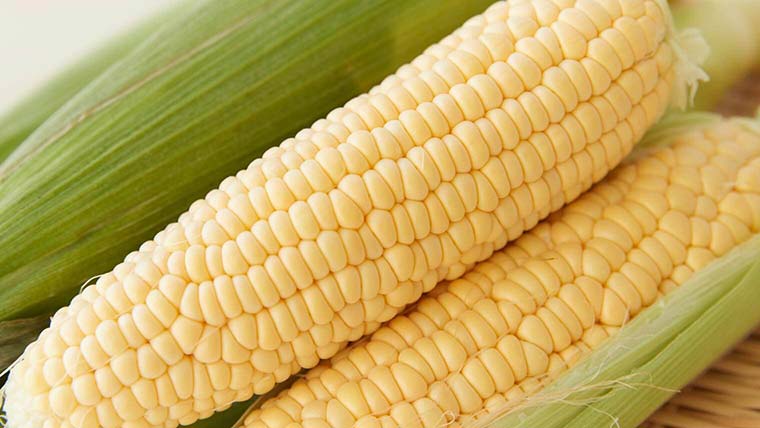 レンジで簡単！とうもろこしのゆで方と保存（冷凍・冷蔵）のコツ