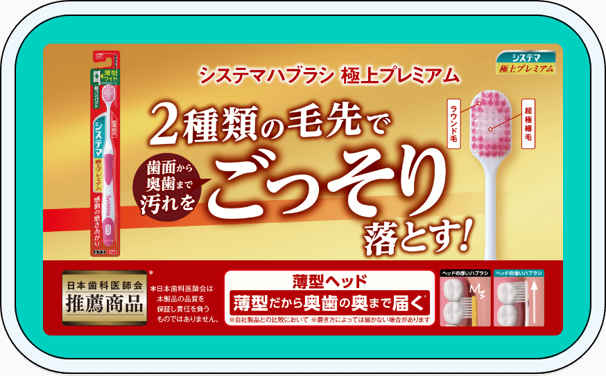 システマハブラシ 極上プレミアム